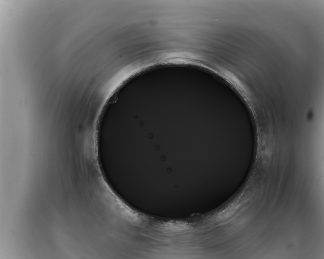 X0000089351384200706221129