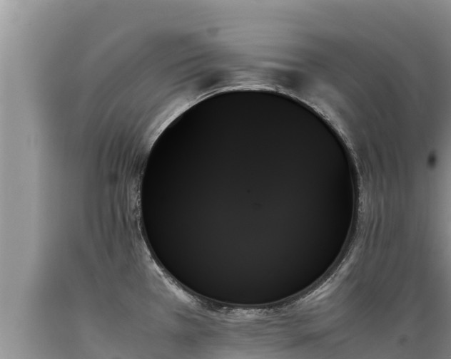 X0000089351385200706221129