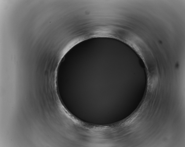 X0000089351386200706221129