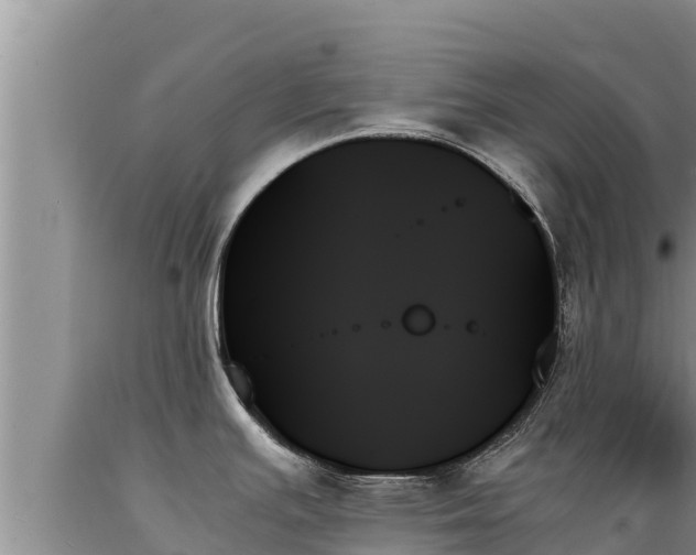 X0000089351391200706221129