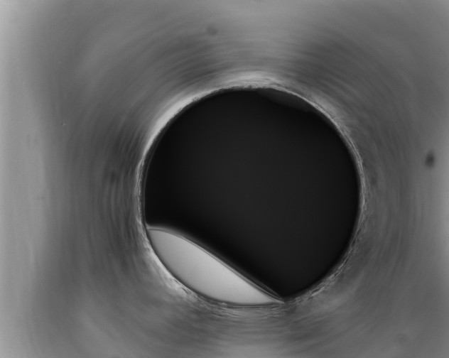 X0000089351392200706221129