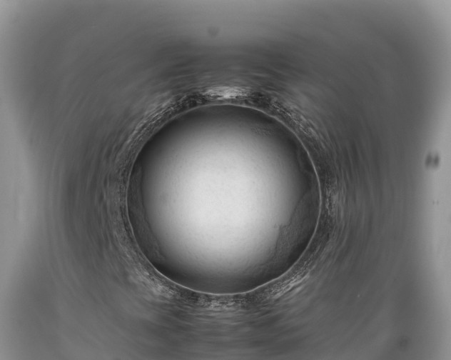 X0000089351393200706221128