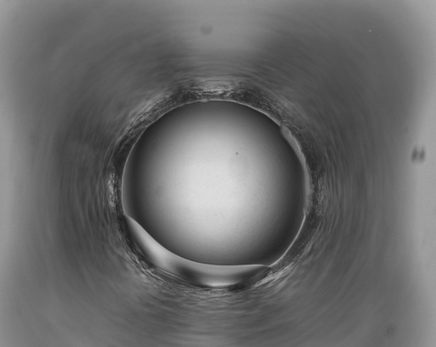 X0000089351394200706221128