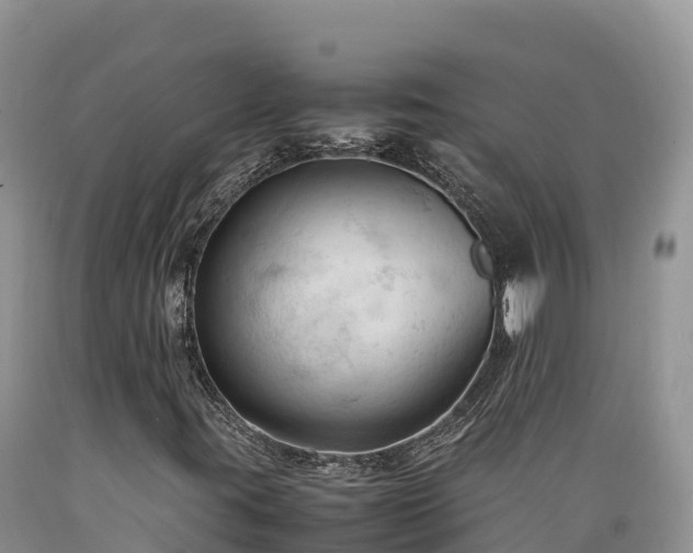 X0000089351395200706221128