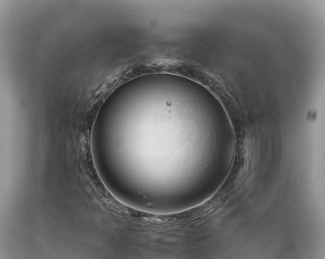 X0000089351397200706221128