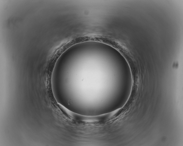 X0000089351398200706221128