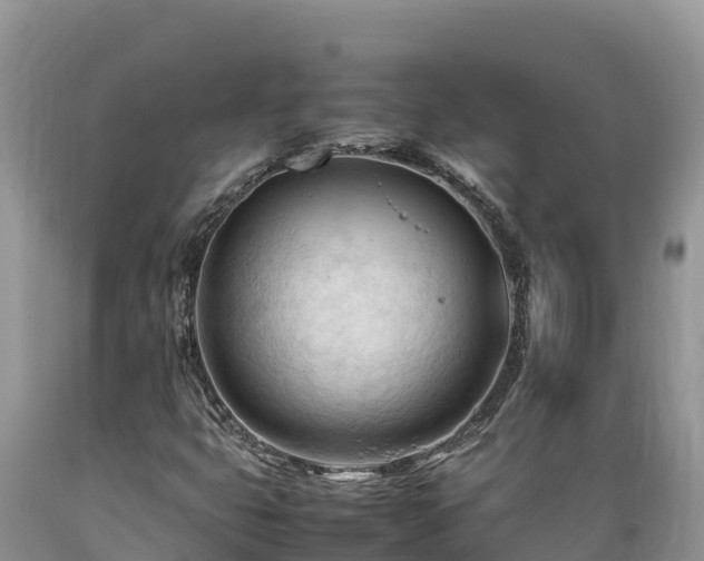 X0000089351399200706221128