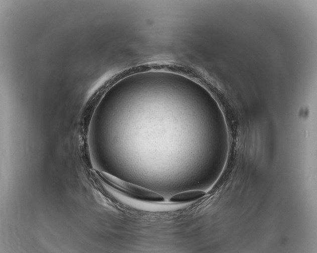 X0000089351400200706221128