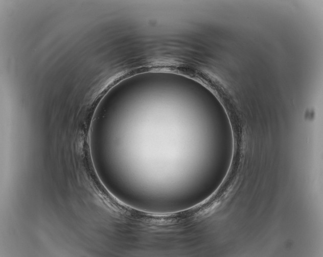 X0000089351401200706221128