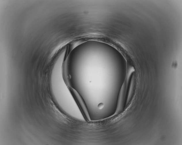 X0000089351402200706221128