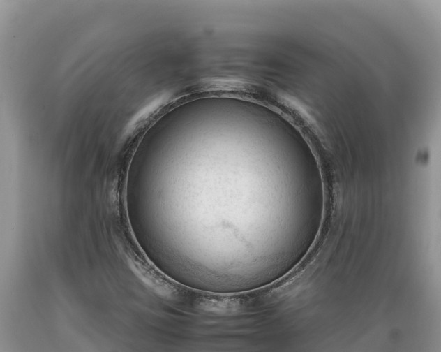 X0000089351403200706221128