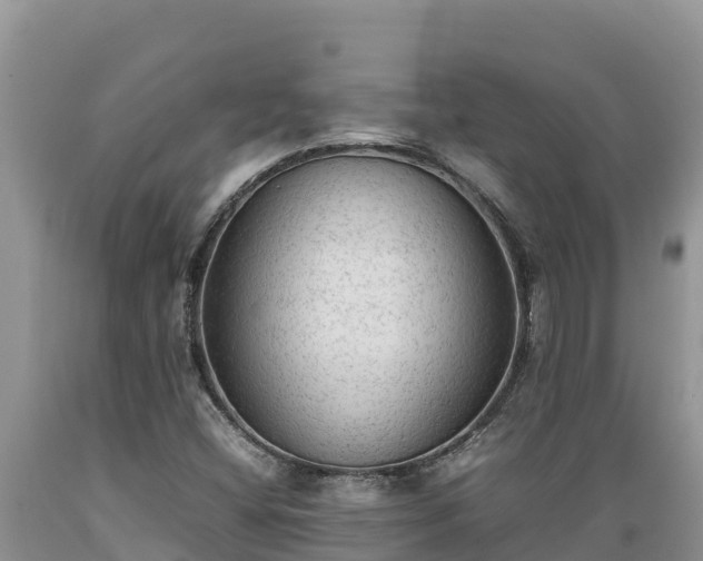 X0000089351404200706221129
