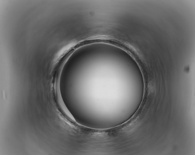 X0000089351406200706221129