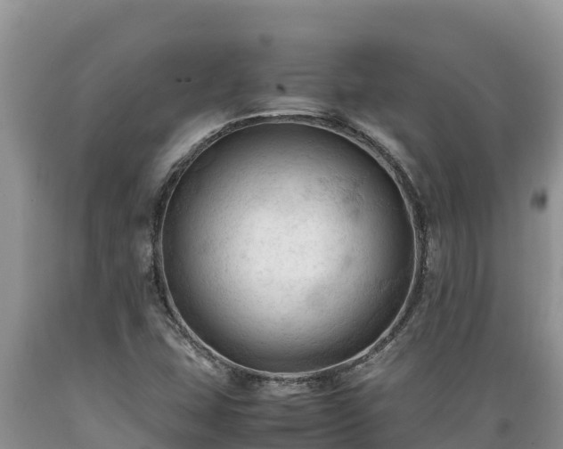 X0000089351407200706221129