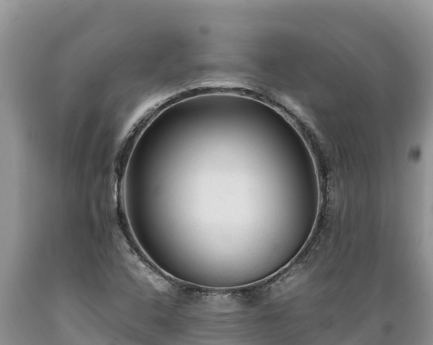X0000089351408200706221129