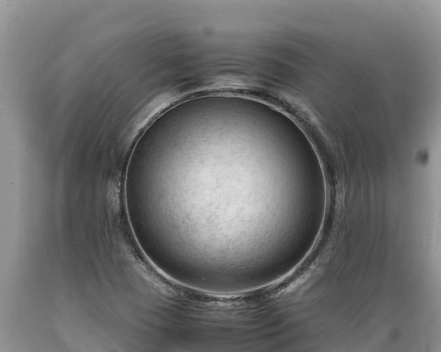X0000089351409200706221129