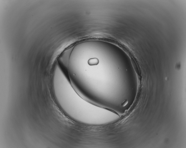 X0000089351410200706221129