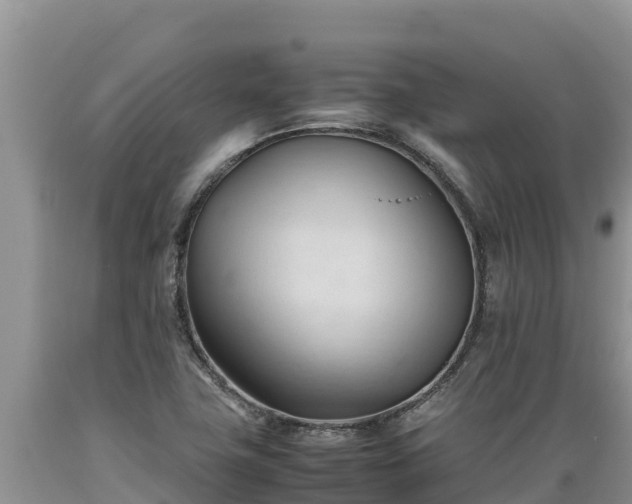 X0000089351411200706221129