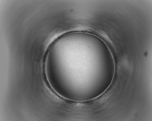X0000089351412200706221129