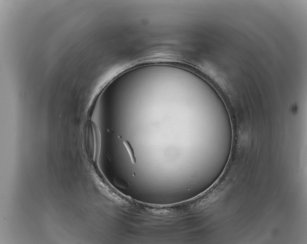 X0000089351413200706221129