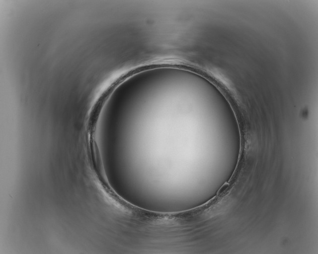 X0000089351414200706221129