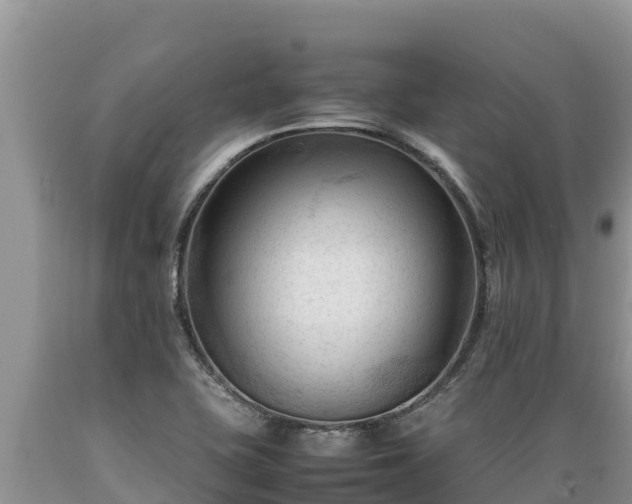 X0000089351415200706221129