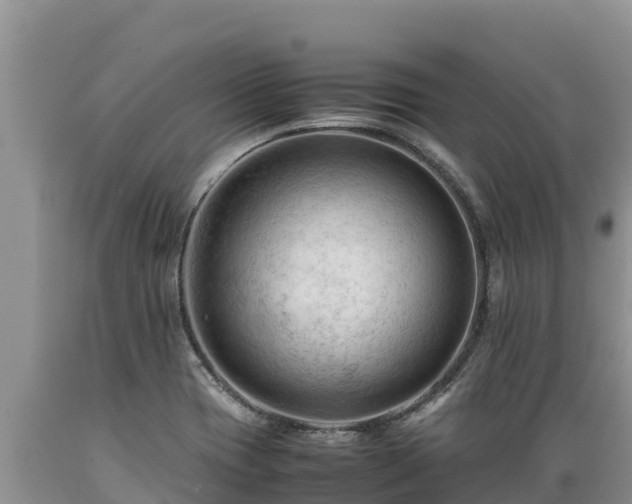 X0000089351417200706221129