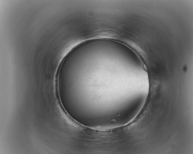 X0000089351423200706221129