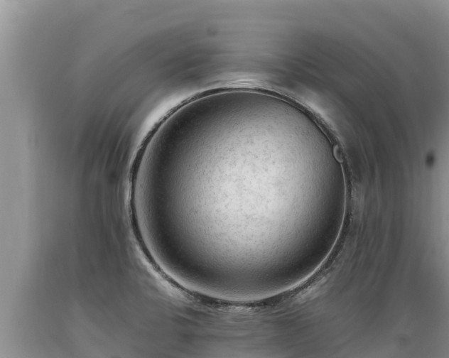 X0000089351424200706221129