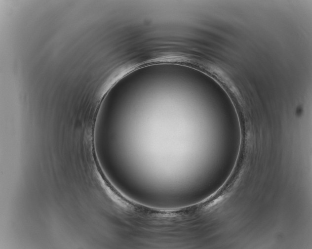 X0000089351425200706221129