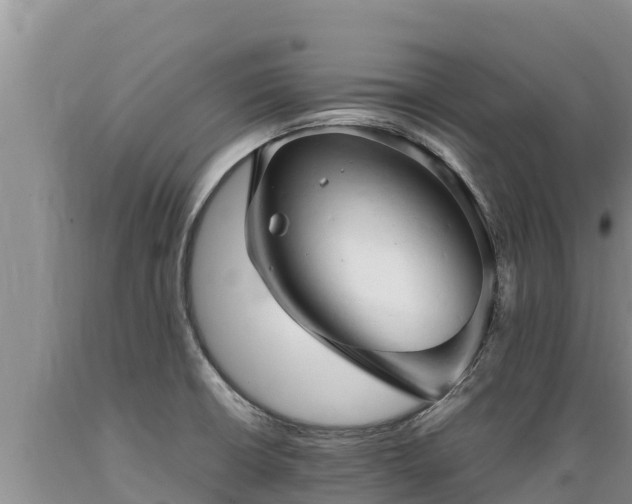 X0000089351426200706221129