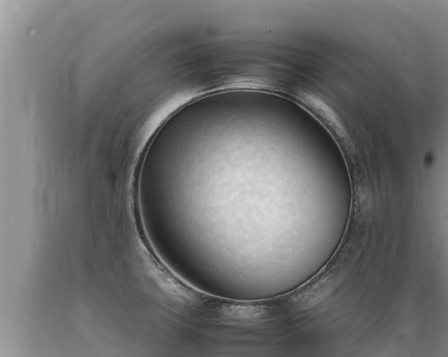 X0000089351427200706221129