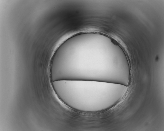 X0000089351429200706221129