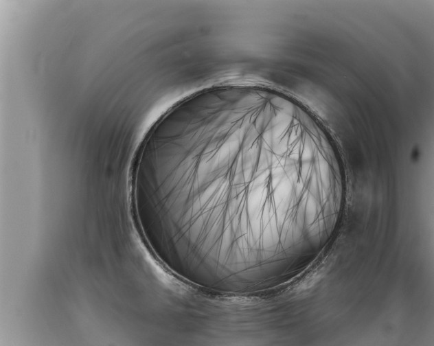 X0000089351430200706221129