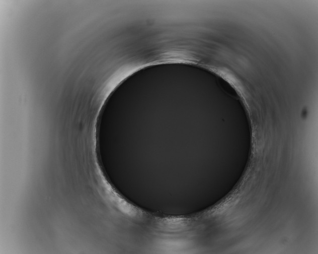 X0000089351431200706221129
