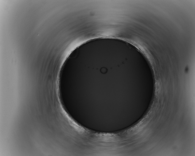X0000089351432200706221129