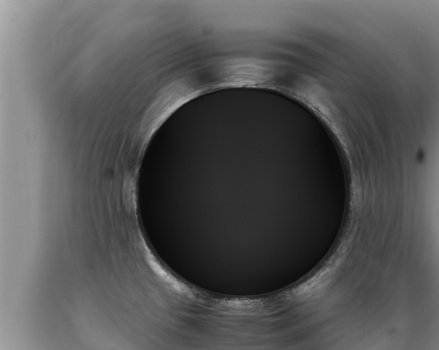 X0000089351433200706221129