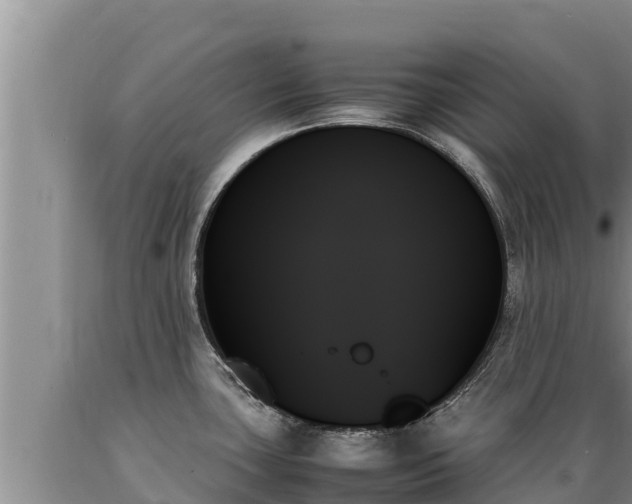 X0000089351435200706221129