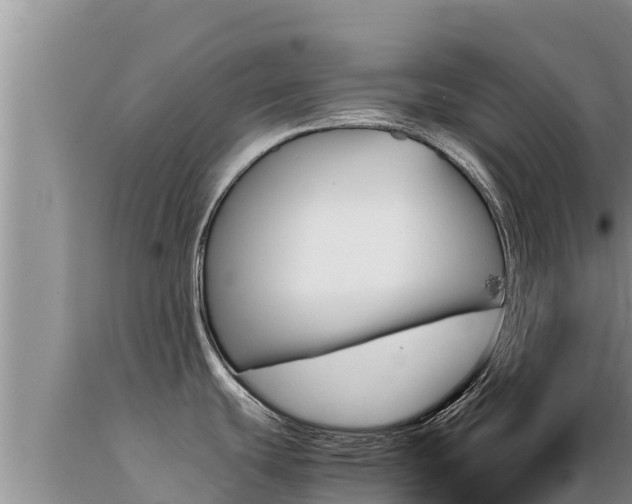 X0000089351439200706221129
