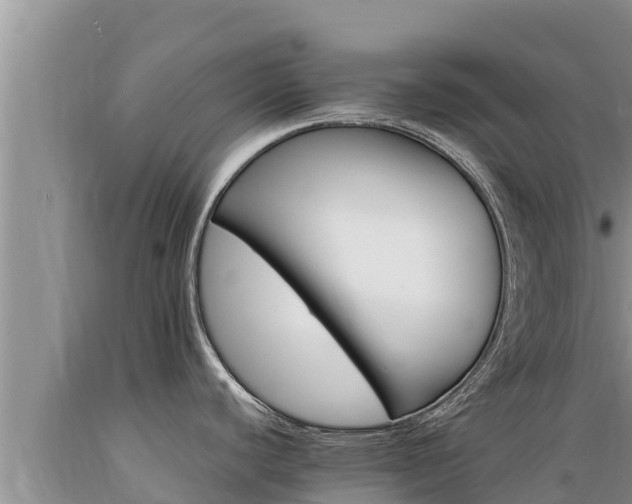 X0000089351440200706221129
