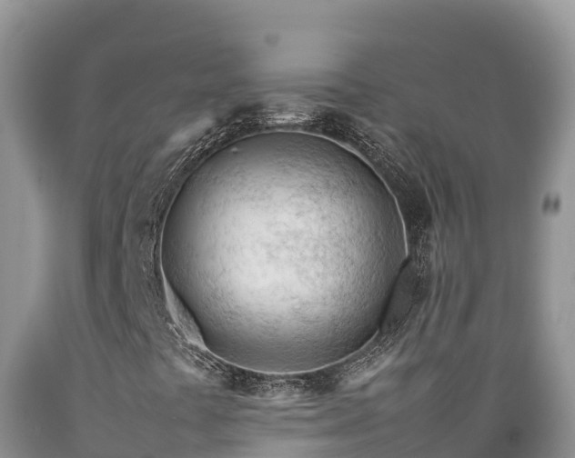 X0000089351441200706221128