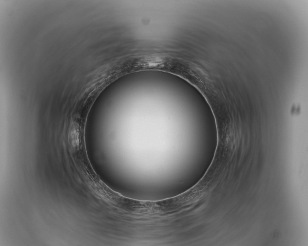 X0000089351442200706221128