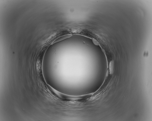 X0000089351443200706221128