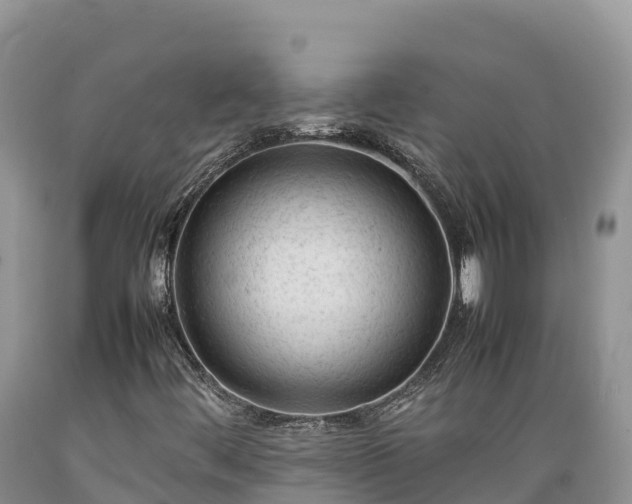 X0000089351444200706221128