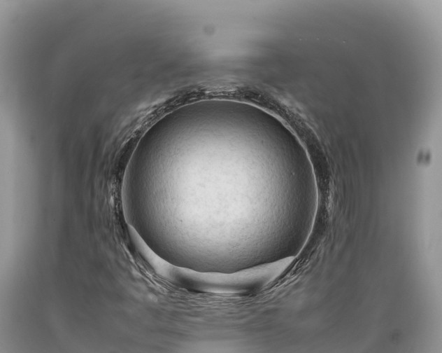 X0000089351445200706221128