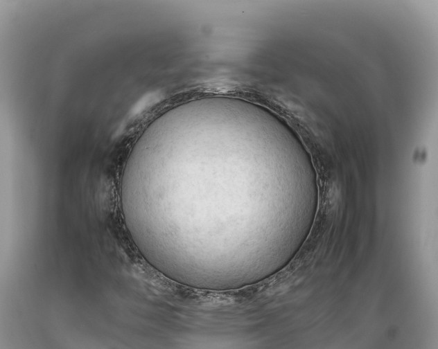 X0000089351446200706221128