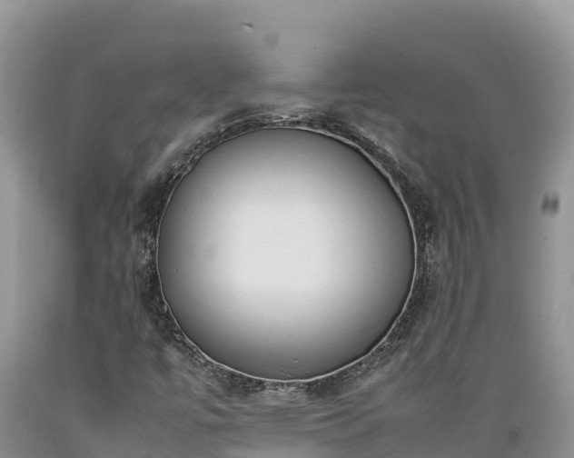 X0000089351447200706221128