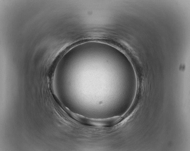 X0000089351449200706221128