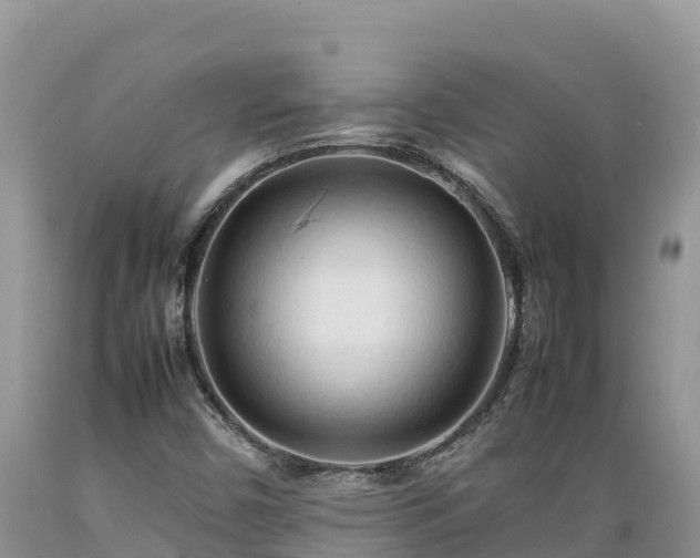 X0000089351450200706221128