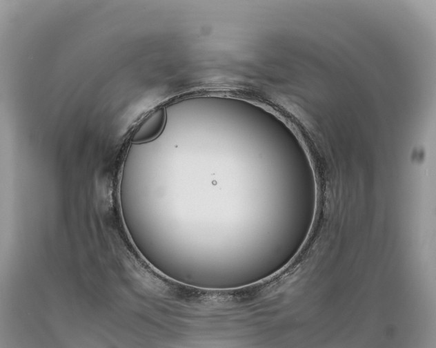 X0000089351451200706221128